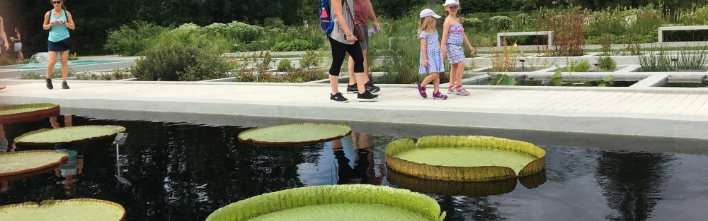 jardin-botanique1